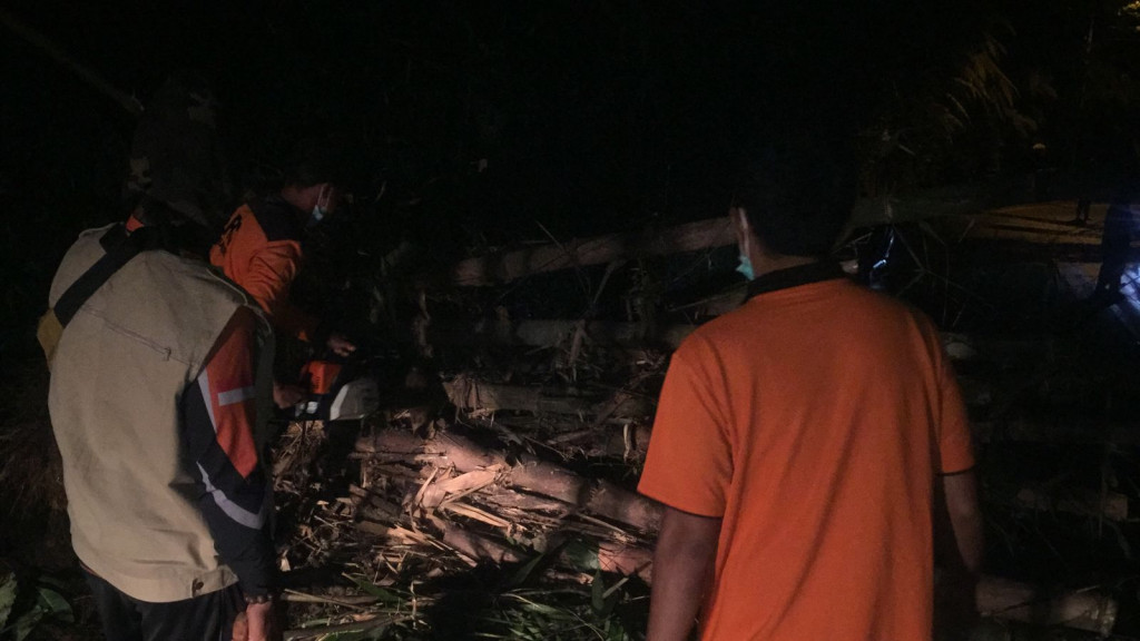 Pohon Tumbang di Banjar Angantiga, Desa Petang, Kecamatan Petang Tanggal 04 Pebruari 2022